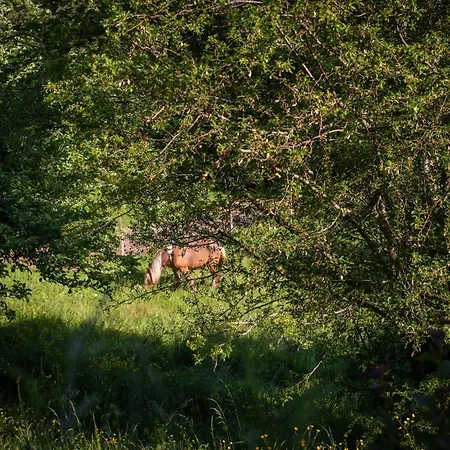 La Grange D'hannah - & D'hotes De Charme Pensionat