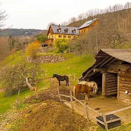 La Grange D'hannah - & D'hotes De Charme 3* Orbey